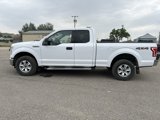 Used 2016 Ford F150 XLT w/ Equipment Group 301A Mid image 4