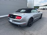 Used 2022 Ford Mustang Premium image 3