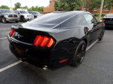 Used 2016 Ford Mustang Coupe w/ Ecoboost Performance Package image 5