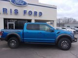 Used 2019 Ford F150 Raptor w/ Equipment Group 802A Luxury image 3