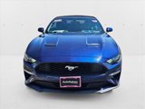 Used 2019 Ford Mustang Premium image 2