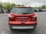 Used 2016 Ford Escape SE w/ Equipment Group 201A image 4