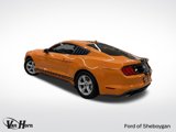 Used 2021 Ford Mustang Coupe image 3