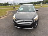 Used 2019 Ford Escape SE image 2