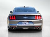 Certified 2021 Ford Mustang Coupe image 5