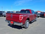 Used 2014 Ford F150 XLT w/ XLT Chrome Package image 6