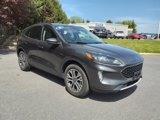 Used 2020 Ford Escape SEL image 3