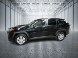 Used 2023 Toyota RAV4 LE image 5