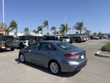 Used 2024 Toyota Corolla LE w/ LE Convenience Package image 6