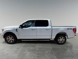 Used 2022 Ford F150 XLT w/ Equipment Group 302A High image 4