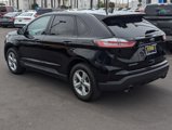 Used 2020 Ford Edge SE w/ Cargo Accessory Package image 4