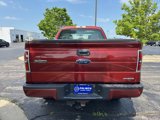 Used 2014 Ford F150 STX w/ Equipment Group 201A Mid image 3