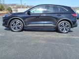 Used 2022 Ford Escape SE w/ SE Sport Appearance Package image 2