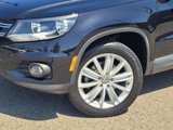Used 2012 Volkswagen Tiguan SE image 3