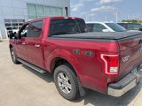 Used 2015 Ford F150 XLT w/ Equipment Group 302A Luxury image 5