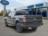 Used 2013 Ford F150 FX4 image 3