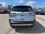 Certified 2022 Ford Escape SEL image 5