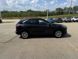 Used 2020 Ford Escape SE image 6