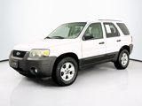 Used 2007 Ford Escape XLT image 3