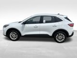 Used 2022 Ford Escape SE w/ Cold Weather Package image 3
