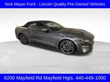 Used 2019 Ford Mustang Premium image 1