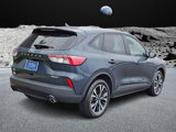 Certified 2022 Ford Escape SE w/ SE Sport Appearance Package image 6