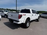 Used 2012 Ford F150 FX4 w/ FX Luxury Pkg image 4