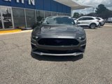 Used 2019 Ford Mustang GT w/ Ford Safe & Smart Package image 2