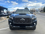 Used 2023 Toyota Tacoma TRD Sport image 2
