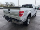 Used 2013 Ford F150 XLT image 6