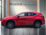 Certified 2023 Lexus NX 350 AWD w/ Premium Package image 6