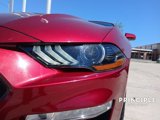 Used 2019 Ford Mustang Premium w/ Equipment Group 201A image 4