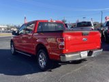 Used 2019 Ford F150 XLT w/ Equipment Group 302A Luxury image 5