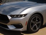 Used 2024 Ford Mustang Coupe image 3