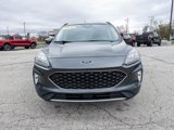 Used 2020 Ford Escape Titanium image 2