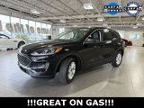 Used 2022 Ford Escape SE w/ Convenience Package image 4