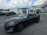 Used 2022 Ford Mustang Premium image 5