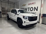 New 2025 GMC Sierra 1500 Elevation image 2