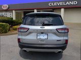 Used 2020 Ford Escape SE image 6
