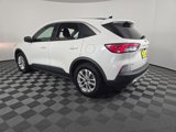 Used 2020 Ford Escape SE image 5