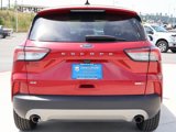 Used 2020 Ford Escape SE image 4