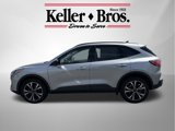 Used 2022 Ford Escape SE w/ SE Sport Appearance Package image 4