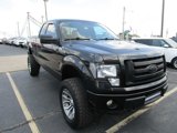 Used 2012 Ford F150 STX w/ STX Decor Pkg image 3