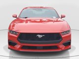Used 2024 Ford Mustang Premium image 4