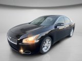 Used 2011 Nissan Maxima 3.5 SV w/ Cold Pkg image 2