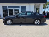 Certified 2022 Chevrolet Malibu LS image 4