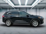 Used 2021 Ford Escape SE w/ Convenience Package image 3