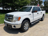 Used 2014 Ford F150 XLT image 4