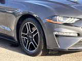 Certified 2022 Ford Mustang Premium image 4