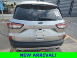 Used 2021 Ford Escape SE image 4